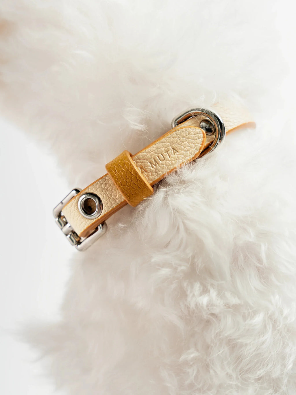 Eco-friendly leather dog collar showing soft texture and inner structure for everyday comfort