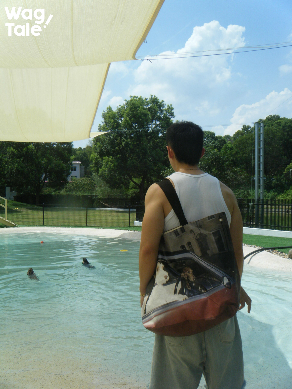 Close-up of a person wearing the tote bag on the shoulder, showing wide straps and the bag opening with a small dog’s head visible inside.