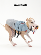 A dog walks forward wearing an everyday dog vest while carrying a toy in its mouth, showing comfort, stability, and freedom of movement