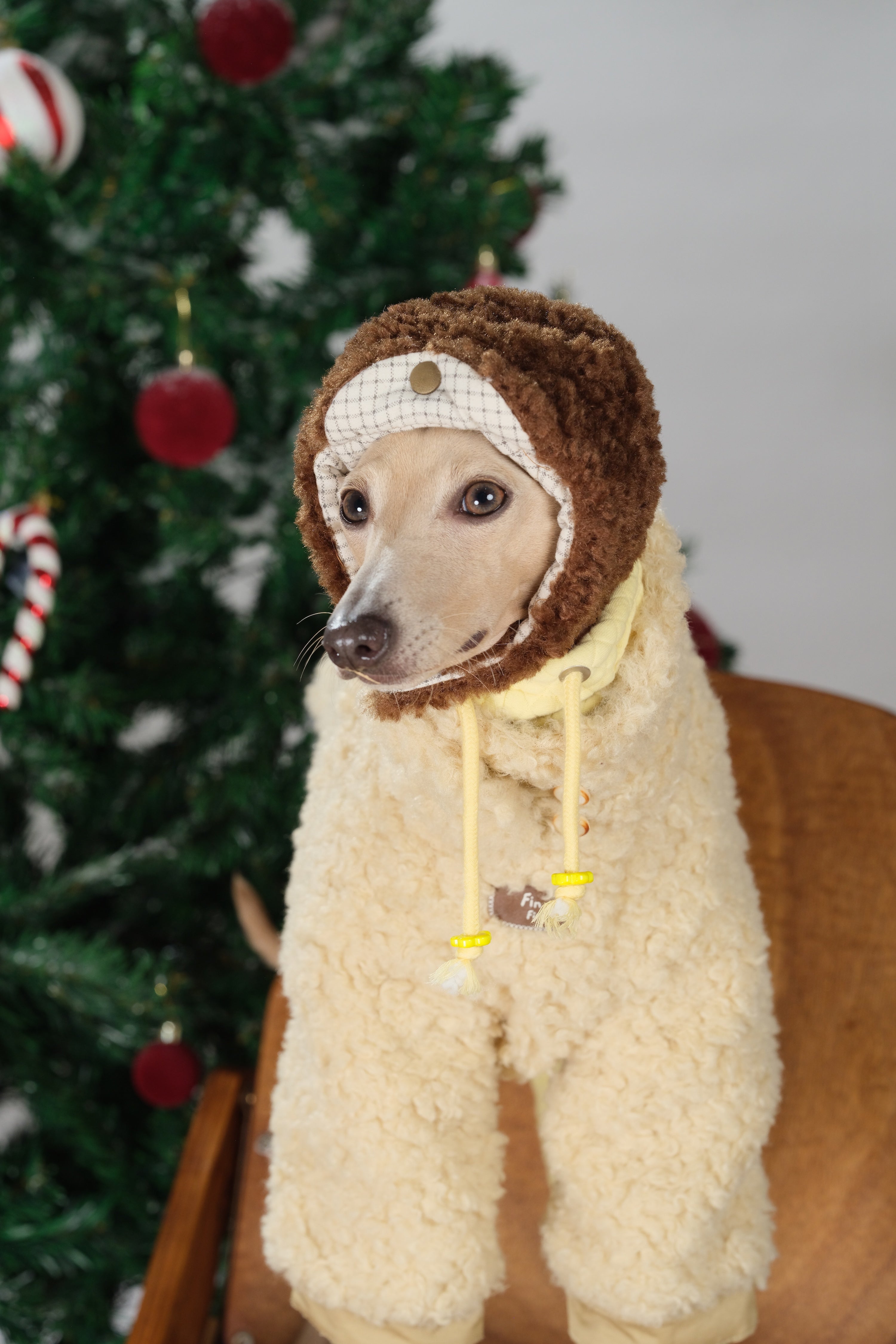 Dog dressed in the fleece side of a reversible winter dog jacket, highlighting the plush texture and hooded design for cold-weather comfort.