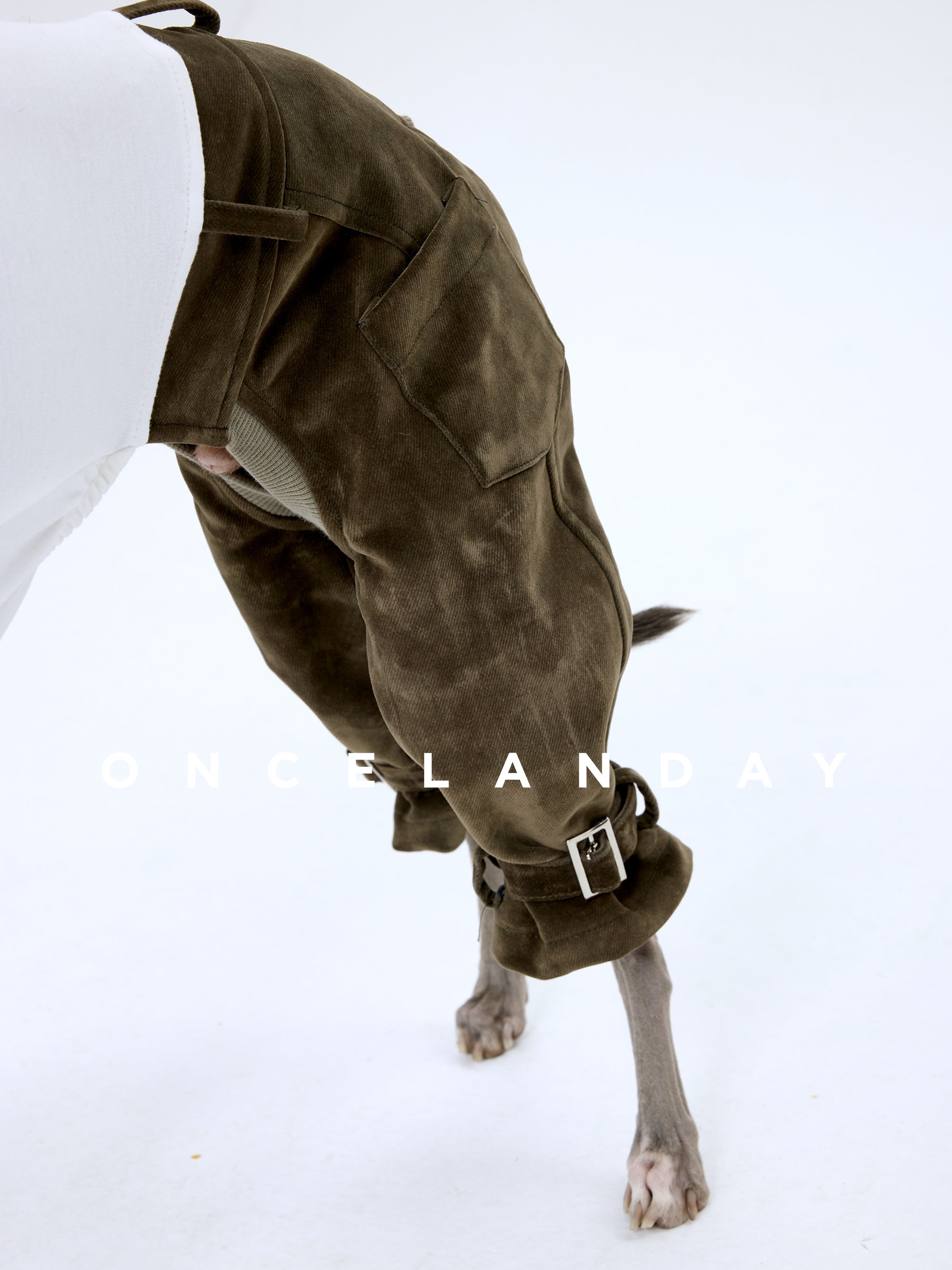 Close-up of moss green flocked cotton dog winter pants highlighting the side pocket, plush fabric texture, and adjustable leg strap detail designed for sighthound proportions.