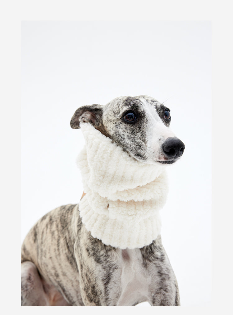 Fluffy dog snood on whippet, cozy fleece dog scarf with minimalist design