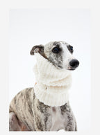 Fluffy dog snood on whippet, cozy fleece dog scarf with minimalist design