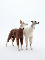 Two dogs wearing four-leg winter jackets in brown and cream, shown in a full-body front view