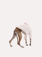 Dog moving while wearing a four-leg down jacket, showing flexibility and back coverage