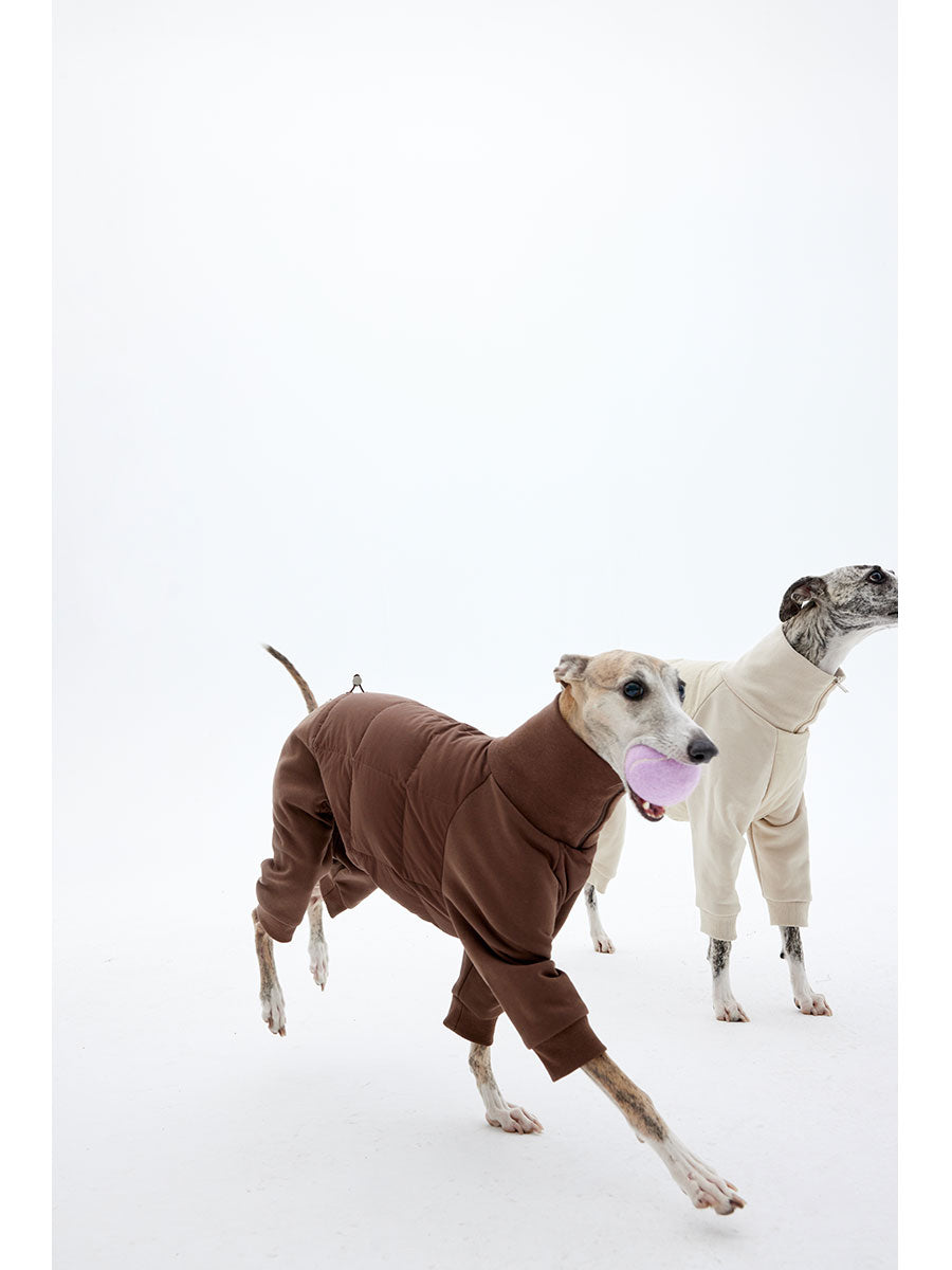 Dog wearing a four-leg jacket while running, showing flexibility and freedom of movement