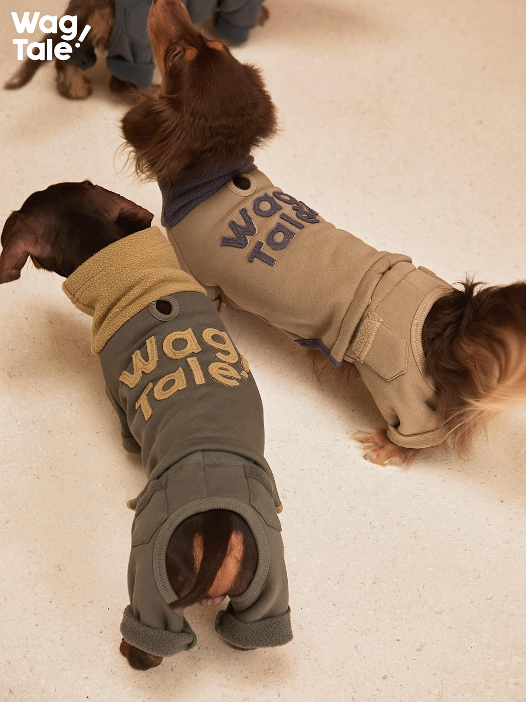 Two dogs wearing four-leg dog jumpers shown from the back, featuring high-neck warmth and vintage embroidered logo details.