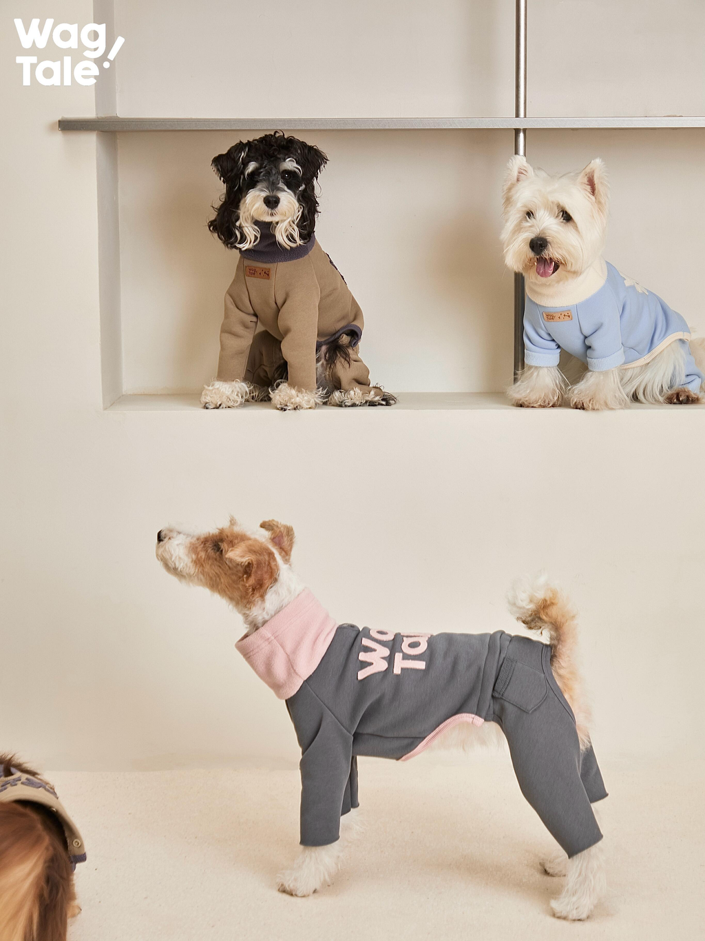 Dogs wearing four-leg dog jumpers as a collection, showcasing embroidered branding, high-neck warmth, and cohesive design.