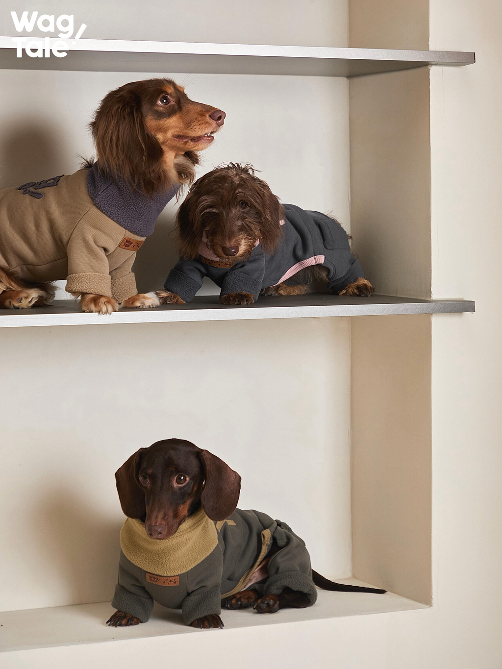 Dogs wearing full-body dog jumpers with four-leg construction, showing a snug fit, soft fabric, and warm high-neck design.