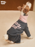 Dog wearing a four-leg dog jumper while standing, showing unrestricted movement and full-body fit