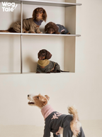 Multiple dogs wearing full-body dog jumpers, demonstrating flexible movement and balanced proportions across different breeds.