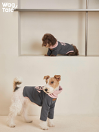 Dogs wearing four-leg dog jumpers displayed at different levels, emphasizing versatile styling and everyday wearability.