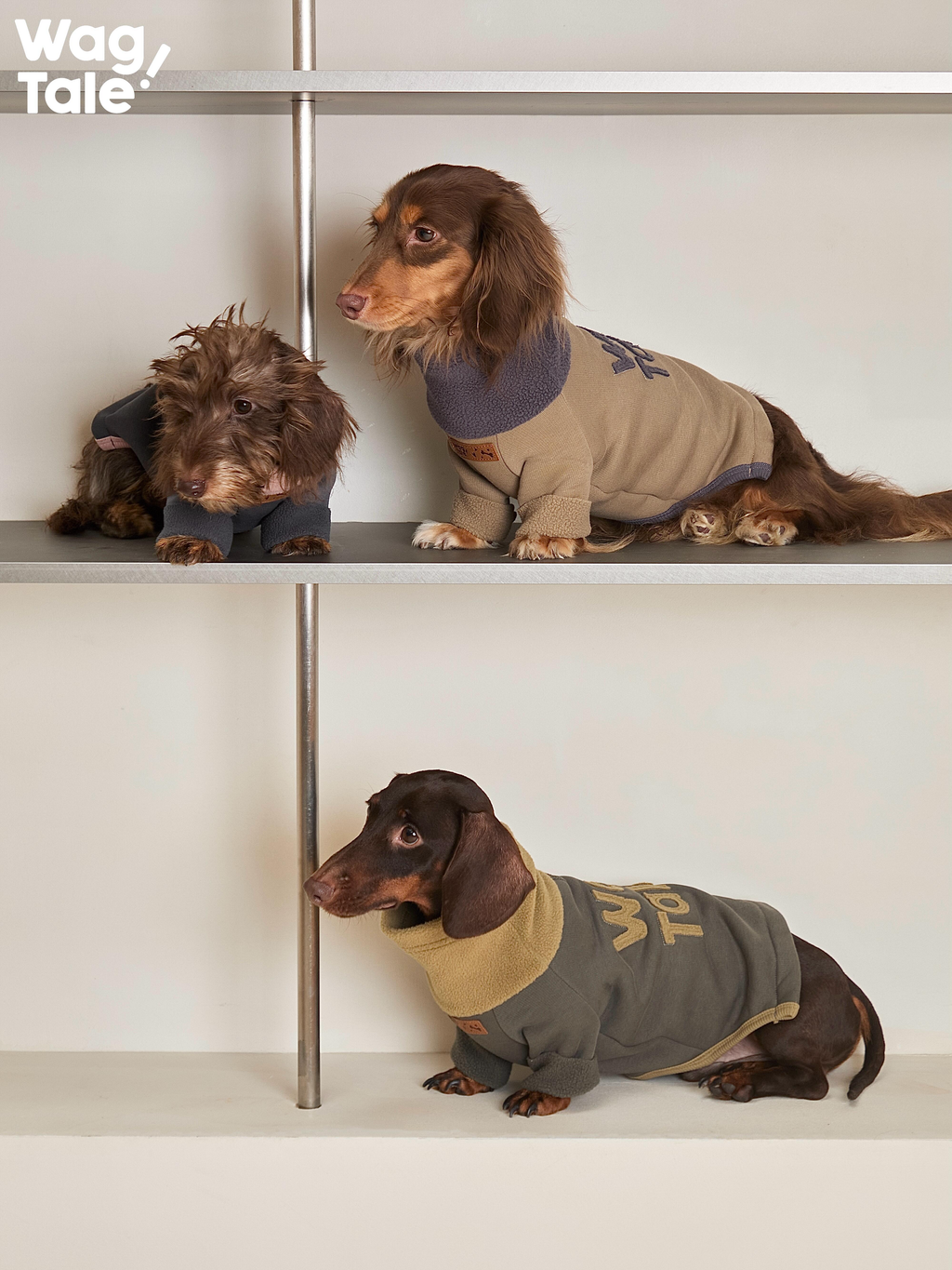 Dogs wearing four-leg dog jumpers displayed on shelves, showing a high-neck design, full-body fit, and different color options for everyday wear.