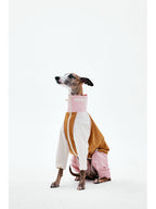 Dog sitting while wearing a four-leg raincoat, showing full-body coverage and color-block design