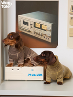 Side view of dachshunds in four-leg dog suits, demonstrating full-body coverage, high elasticity, and comfortable movement for short-legged dogs.