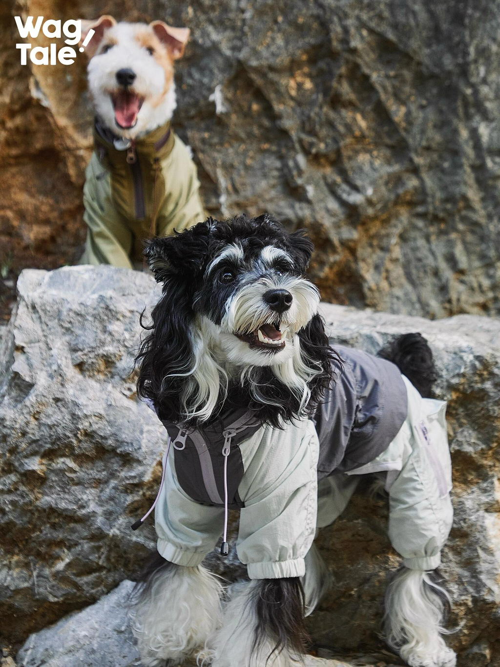 Close-up of a dog wearing a hooded four-leg dog windbreaker in grey and light tones, photographed on rocks with another dog blurred in the background for an outdoor adventure feel.