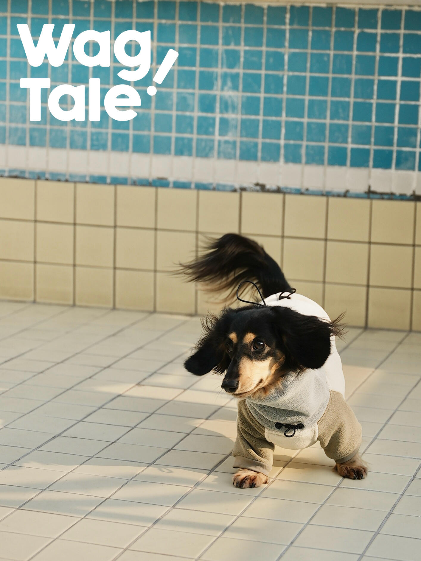 A dachshund in motion wearing a four-leg fleece dog suit, captured mid-run on indoor tiles with a high neck and snug full-body coverage for winter warmth.
