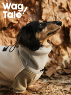 Side profile of a dachshund wearing a four-leg fleece dog suit, highlighting the high-neck design and soft textured fabric for comfortable winter wear.