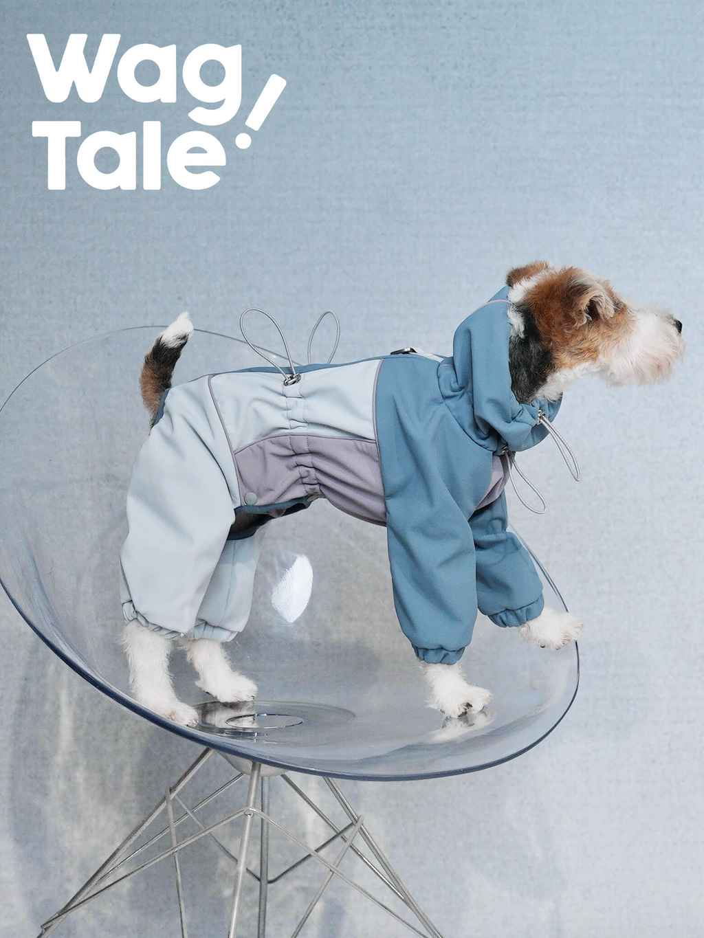 Side profile of a terrier wearing a four-leg hooded dog jacket in blue and light grey, photographed on a clear chair to show full-body coverage and an outdoor-ready silhouette.