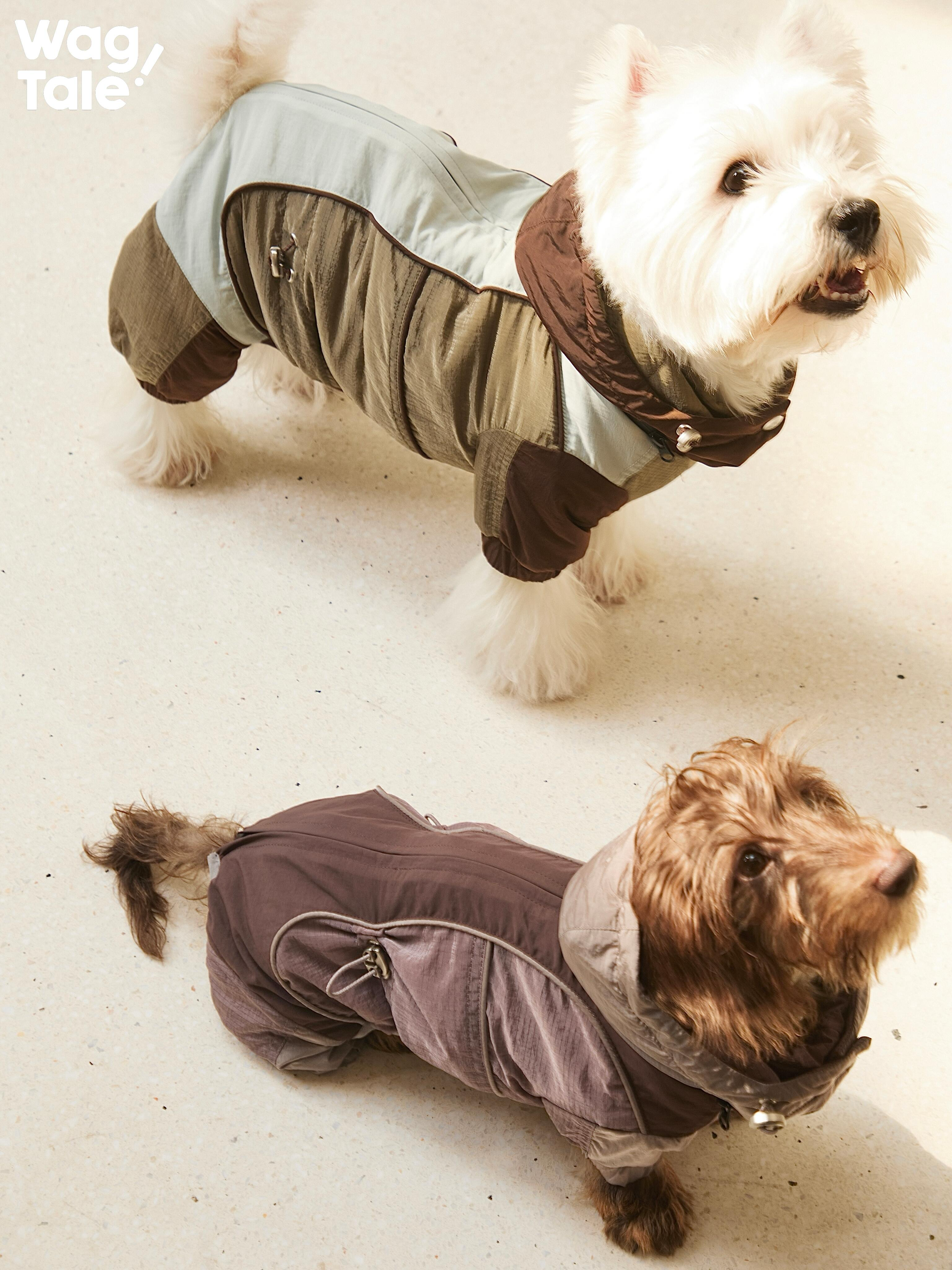 Top view of two dogs in winter dog suits: a white dog in a light green color-block four-leg jumpsuit and a brown dog in a purple hooded insulated dog suit for cold weather.