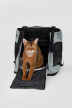 Front view of a front pet carrier with the front panel fully opened, allowing a cat to enter and exit comfortably.