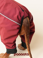 Back view of a red waterproof dog jacket showing full body coverage around the hind legs and tail for protection in rainy conditions.