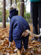 Back view of a dog wearing a full-body blue snowsuit, showing tail opening and rear coverage during an outdoor walk.