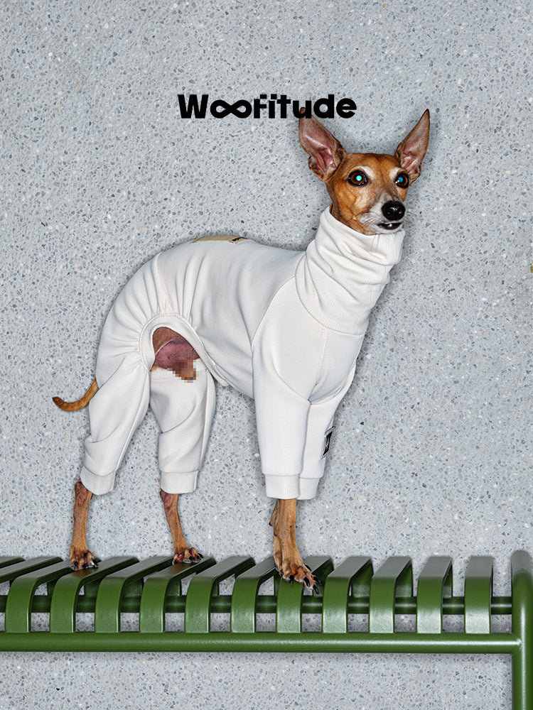 Full body dog suit in white with slim fit design for slender dogs