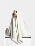 Dog sitting on a platform wrapped in a ghost-style microfiber towel with soft drape and cut-out face design