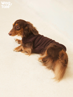 Dachshund lying down wearing a brown ginger fiber dog jumper, highlighting the soft fabric, stretch comfort, and relaxed everyday wear.