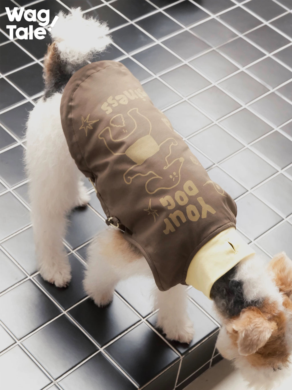 Back view of a dog wearing a brown graphic cooling dog vest, highlighting bold illustration print and breathable summer design.