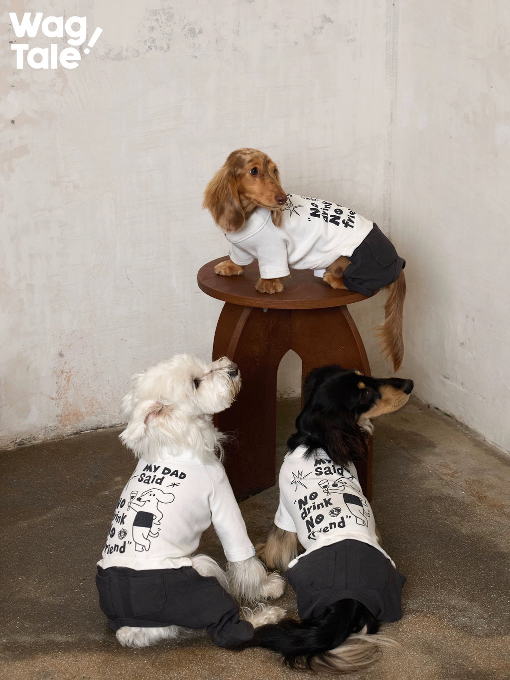 Three dogs wearing graphic dog jumpers gather around a small wooden stool, showing matching illustrated prints and relaxed four-leg jumper fits.