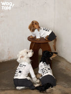 Three dogs wearing graphic dog jumpers gather around a small wooden stool, showing matching illustrated prints and relaxed four-leg jumper fits.