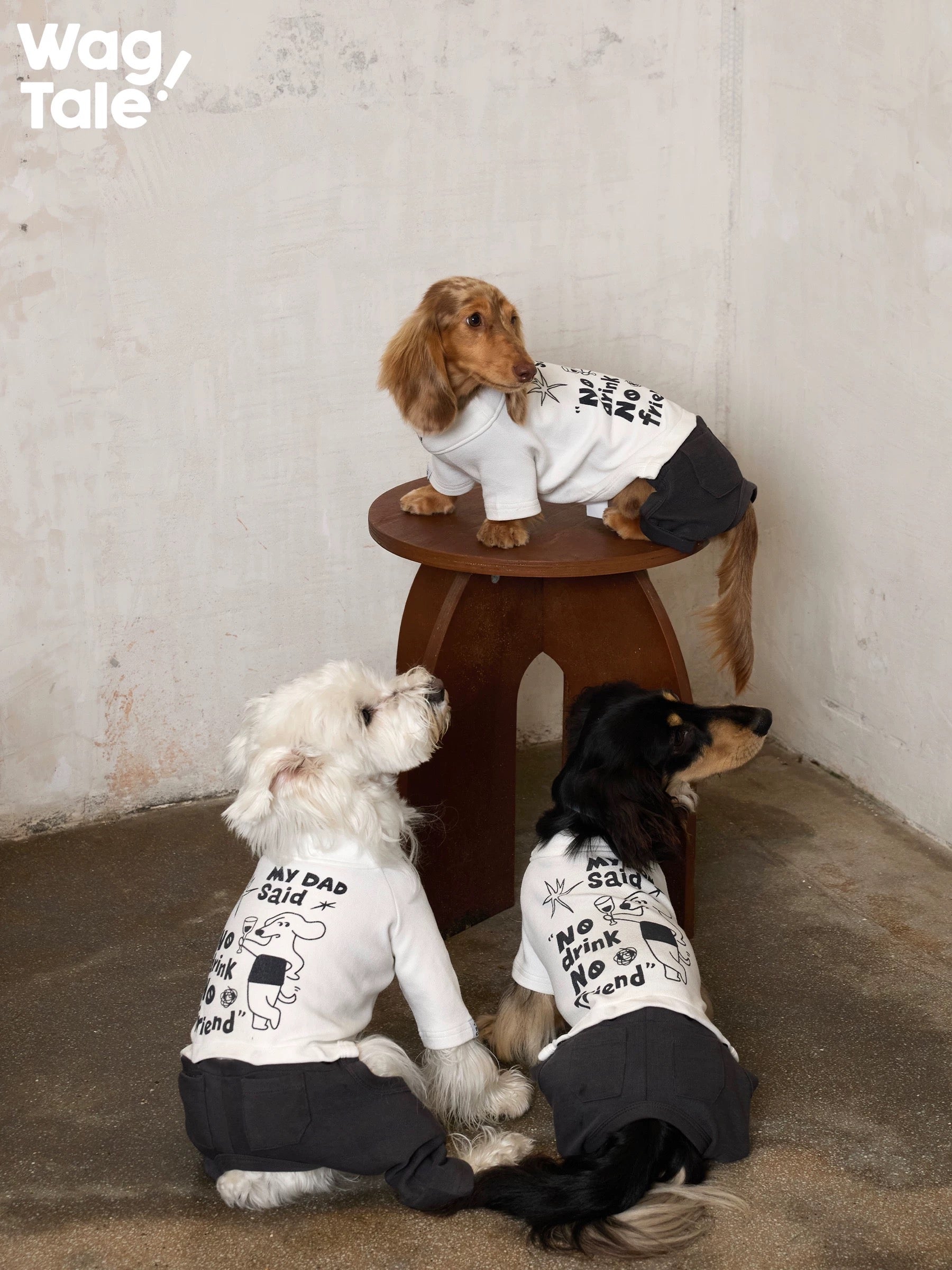 Three dogs wearing graphic dog jumpers gather around a small wooden stool, showing matching illustrated prints and relaxed four-leg jumper fits.