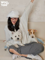 A person interacting with two dogs wearing graphic dog jumpers, highlighting playful mood and everyday wear styling.