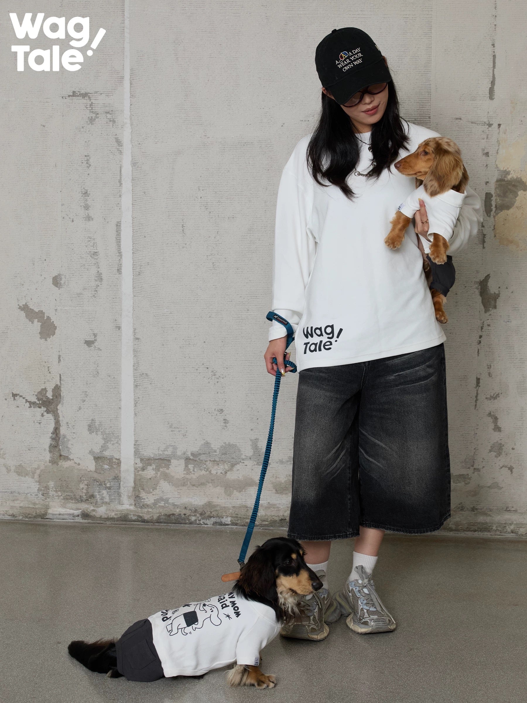 A person holding a dog in a graphic dog jumper while another dog wears the same style on the ground, showing everyday matching outfit concept.