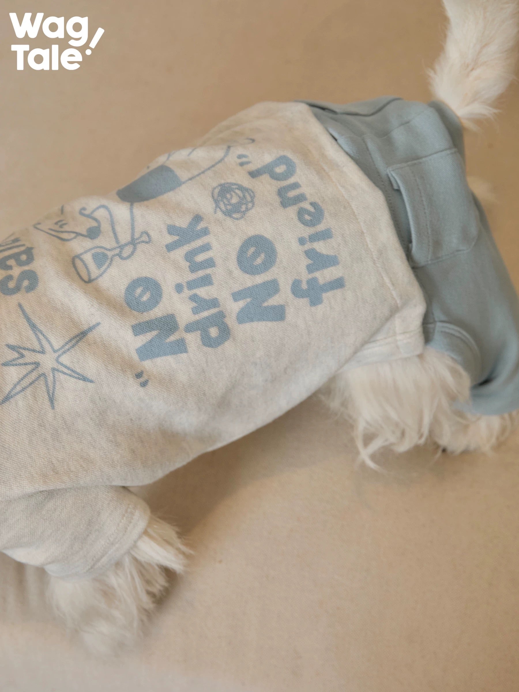 Close-up of the back print on a graphic dog jumper, showing illustrated text and soft fabric texture designed for daily wear.
