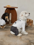 A white dog sits in the foreground wearing a graphic dog jumper, with two dogs in matching outfits behind, showing consistent print design across sizes.