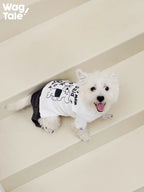 A white dog lying on steps wearing a graphic dog jumper, highlighting playful slogan print and comfortable everyday fit.