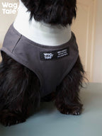 Close-up of the front panel on a graphic dog vest, showing stitched label detail and lightweight fabric designed for summer wear.
