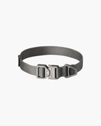 Gray dog collar with metal quick release buckle and adjustable strap on white background