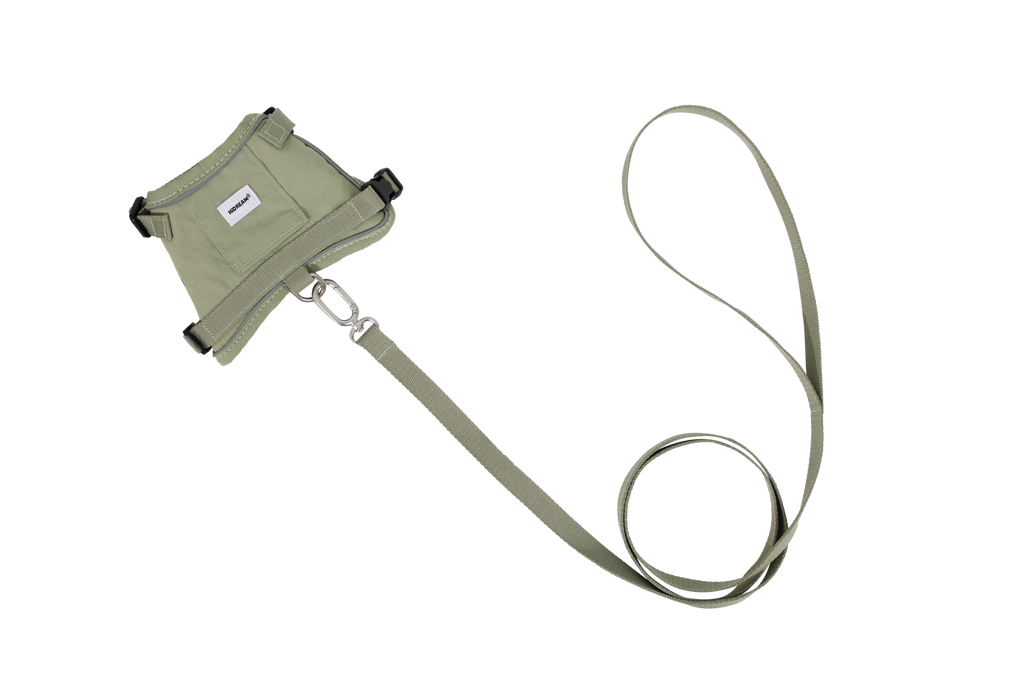 Flat lay of a green cat harness and matching green leash on a white background, showing the metal connection clip between the harness and leash.