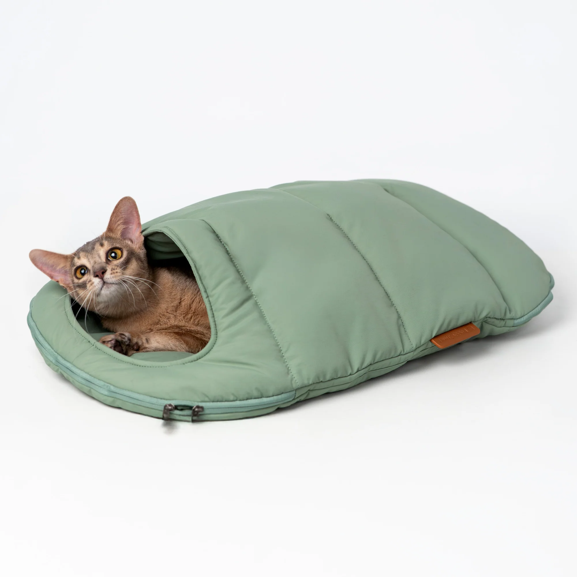 Green cat sleeping bag with a cat resting inside on a white background