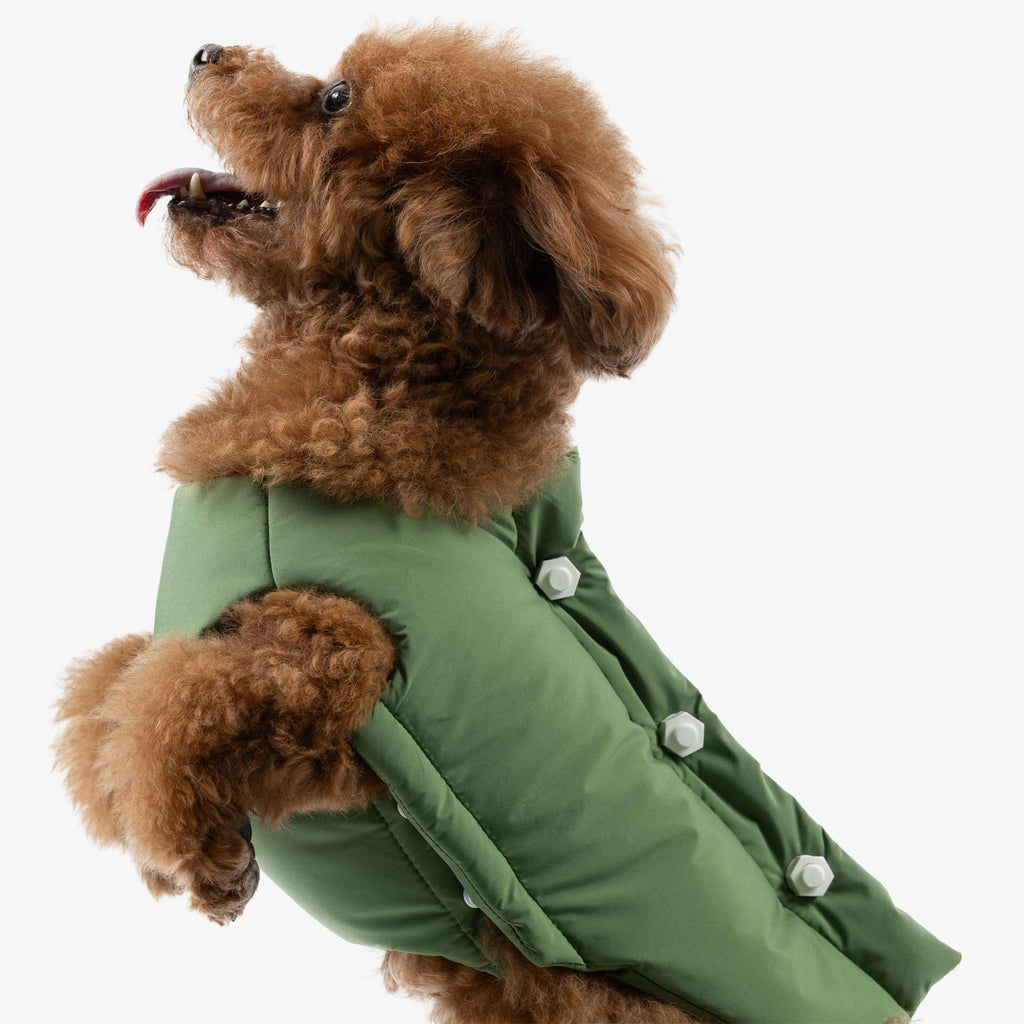Front view of a dog wearing a green insulated vest, demonstrating freedom of movement and a soft, padded finish.