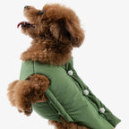 Front view of a dog wearing a green insulated vest, demonstrating freedom of movement and a soft, padded finish.