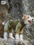 A terrier standing on rocks in a green four-leg dog windbreaker, shown in side profile to highlight the structured fit and outdoor-ready design.