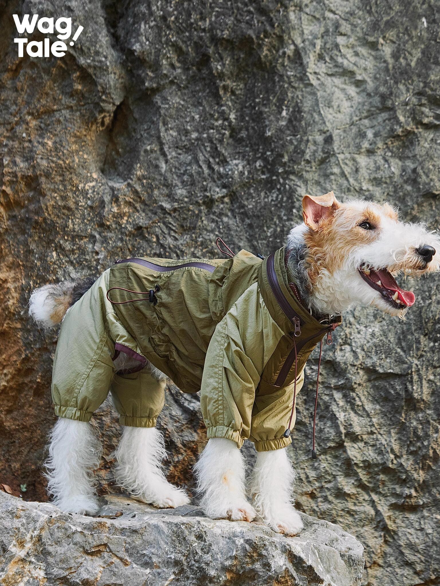 A terrier standing on rocks in a green four-leg dog windbreaker, shown in side profile to highlight the structured fit and outdoor-ready design.