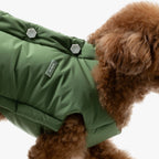 Close-up of decorative snap buttons and brand label on a green padded dog vest, highlighting refined construction and clean detailing.