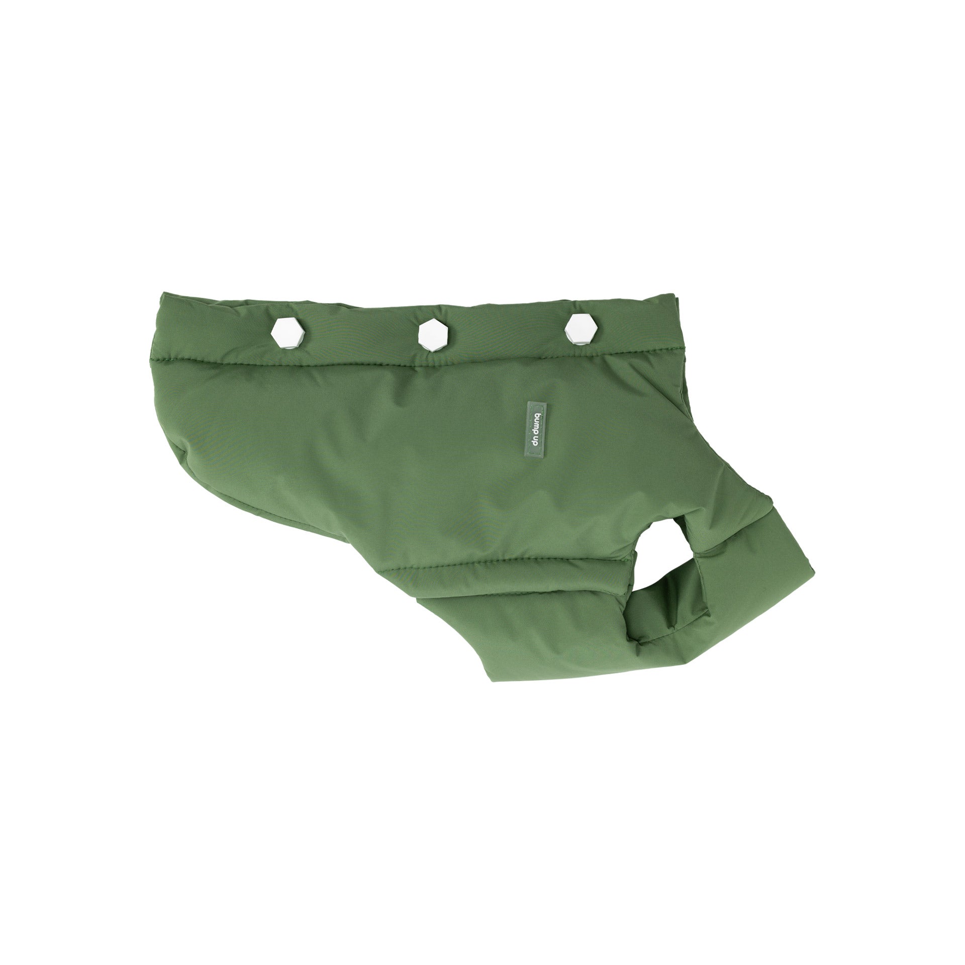 Flat lay of a green insulated dog vest with a smooth surface and minimal back fastening design.