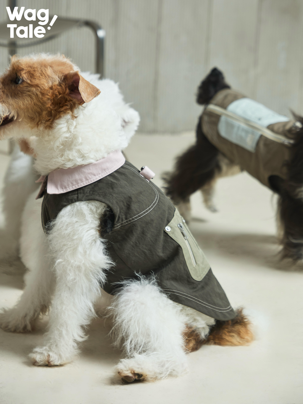 Side profile of a dog wearing a green utility dog vest in the foreground, with another dog in a matching vest softly blurred in the background, emphasizing depth and layered urban styling.
